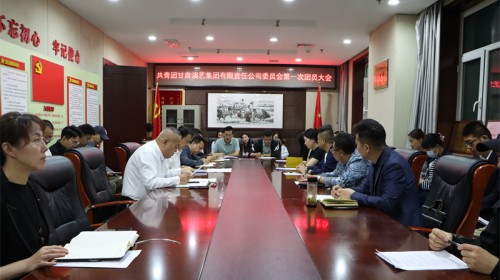 共青團甘肅演藝集團有限責任公司委員會成立 選舉產(chǎn)生第一屆委員會